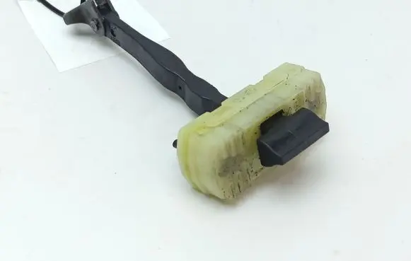 Hyundai Ioniq 5 Rear door check strap stopper