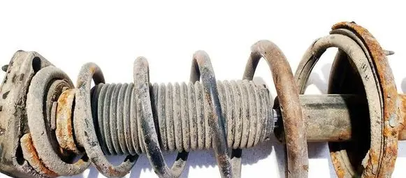 KIA Cerato Rear coil spring 