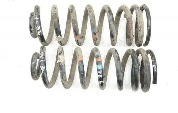 Rear coil spring