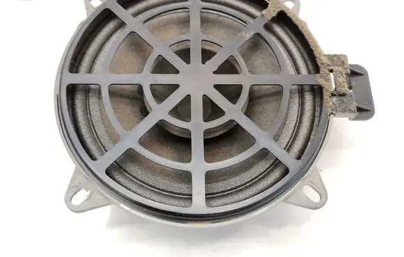 Rear door speaker
