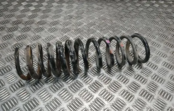 Rear coil spring