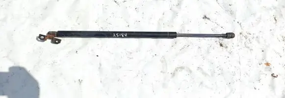 Chrysler Pacifica Front bonnet/hood damper/strut