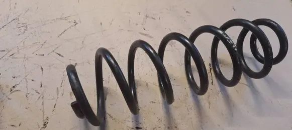 Rear coil spring