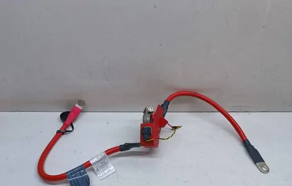 BMW 3 F30 F35 F31 Positive cable (battery) 9259425