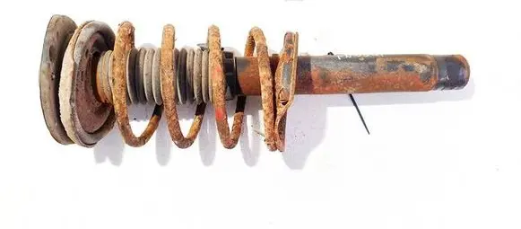 Peugeot 206 Front shock absorber/damper