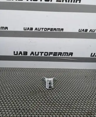 Renault Kadjar Front door lower hinge 