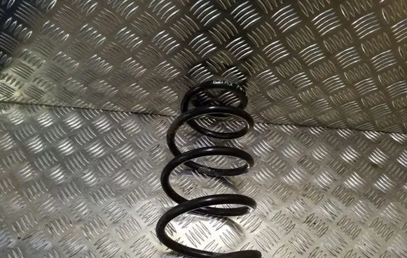 Front coil spring