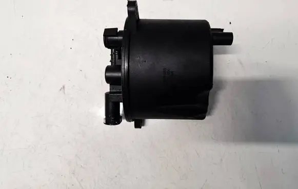 Citroen C5 Fuel filter FCS604