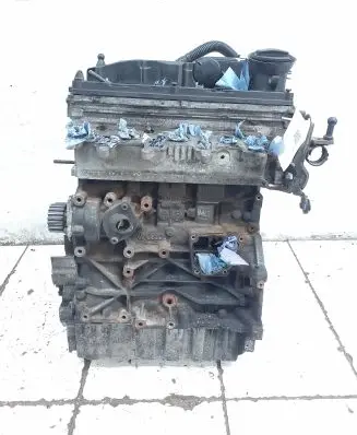 Skoda Octavia Mk2 (1Z) Engine CAY