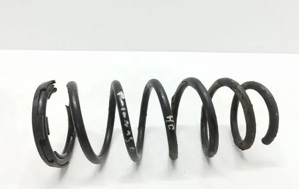 Rear coil spring