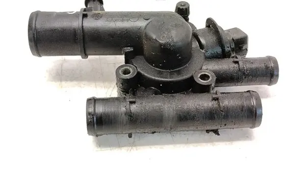 Thermostat/thermostat housing
