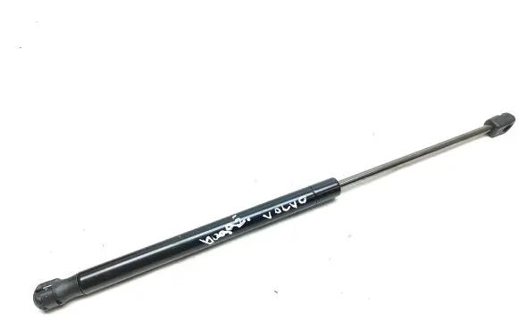 Tailgate strut