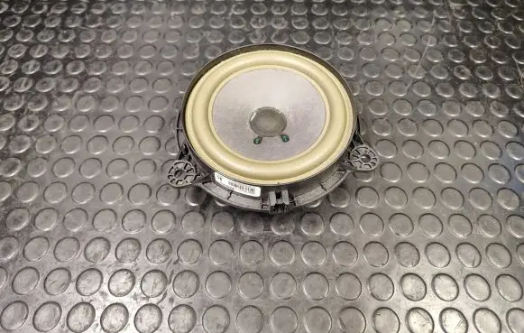 Rear door speaker