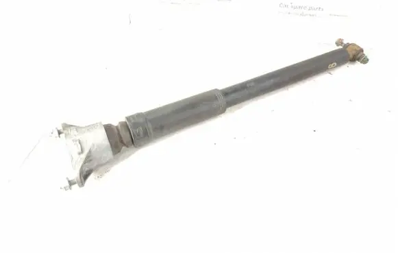 Mercedes-Benz B W246 W242 Rear shock absorber/damper 2463201831 A2463201831