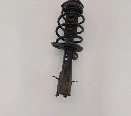 Nissan Leaf II (ZE1) Front shock absorber with coil spring