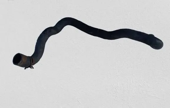 Dacia Sandero Engine coolant pipe/hose 21501618R