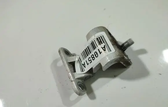 Rear door lower hinge
