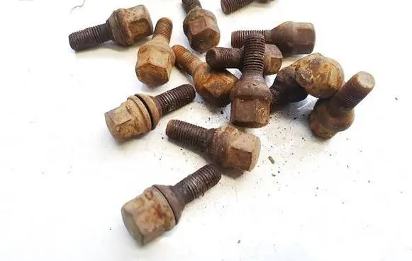 Renault Scenic I Nuts/bolts 