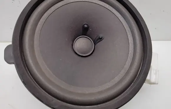 Chevrolet Captiva Front door speaker 25907867