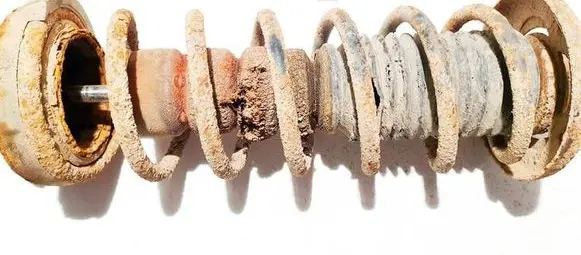 Rear coil spring