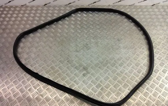 BMW X3 F25 Rear door rubber seal (on body) 7311267