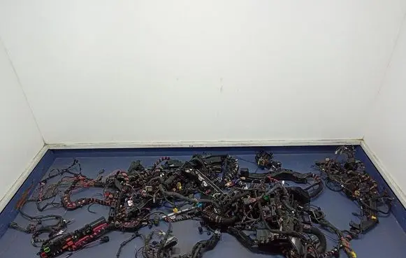 Other wiring loom