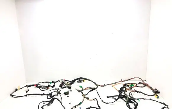 Citroen Berlingo Panel wiring 11950333
