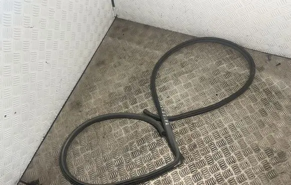 Hyundai Terracan Front door rubber seal 