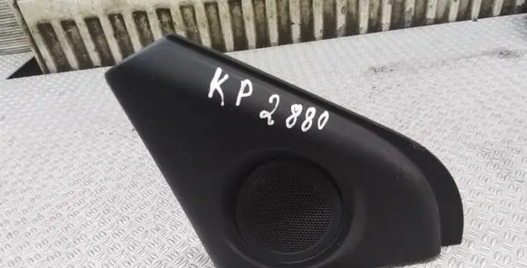 Front door high frequency speaker