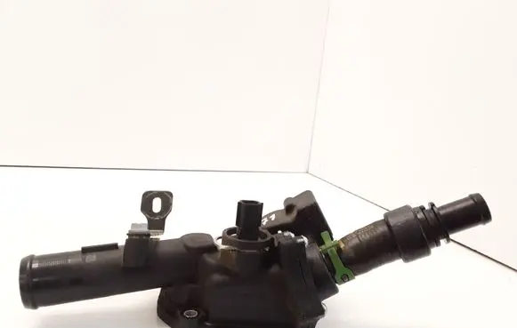 Thermostat/thermostat housing