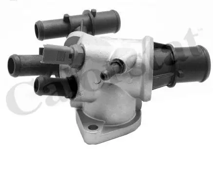 Fiat Punto (188) Thermostat AXF1A
