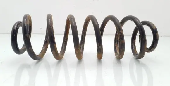 Rear coil spring