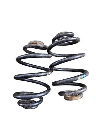 Rear coil spring