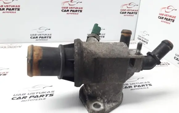 Thermostat/thermostat housing