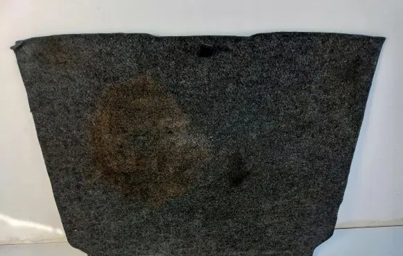 Ford Mustang VI Trunk/boot mat liner 