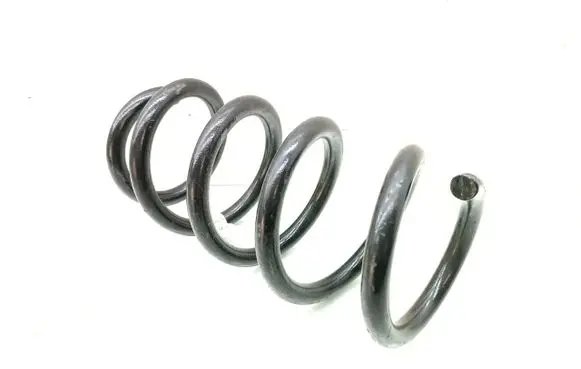 Rear coil spring