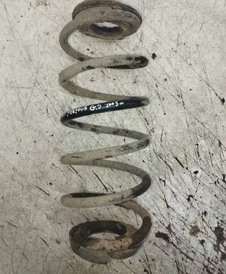 Smart ForFour I Rear coil spring 