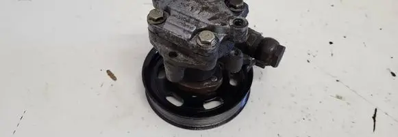 Seat Alhambra (Mk1) Power steering pump 1FAE
