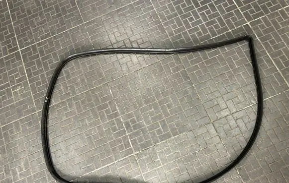 Toyota RAV 4 (XA20) Front door rubber seal