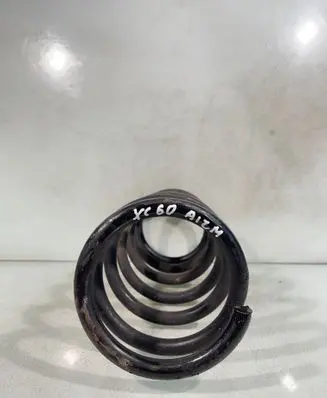 Rear coil spring