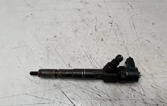 Opel Insignia A Fuel injector 0445110