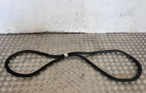 Audi Q5 SQ5 Front door rubber seal 