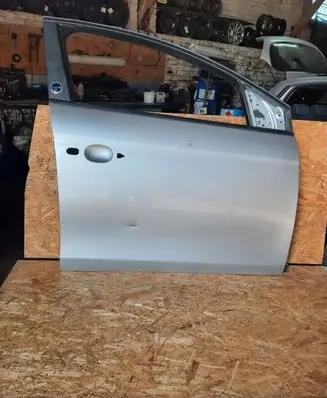 Fiat Bravo Front door