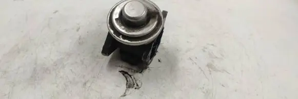 Volkswagen Golf V EGR valve 038131501af 07961000 400435a