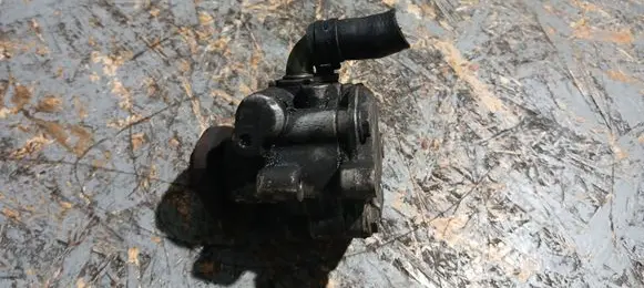 Volkswagen Golf IV Power steering pump 