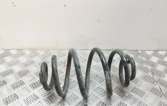 Volkswagen PASSAT B5.5 Rear coil spring