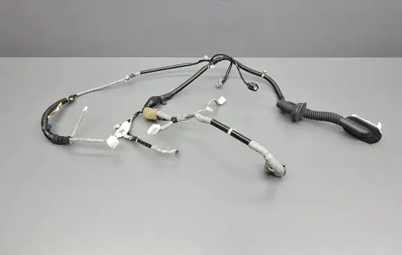 Front door wiring loom