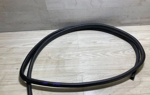 Nissan Juke II F16 Rubber seal rear door 