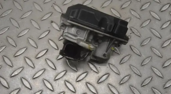 EGR valve