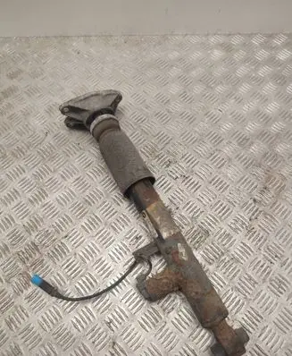 BMW 3 GT F34 Rear shock absorber with coil spring 6851557 37126851557
